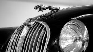 A Jaguar automobile. Like the Jaguar, voiceovers by experienced performer Phil Paton are deep, resonant, distinguished, compelling, and bring classic authenticity